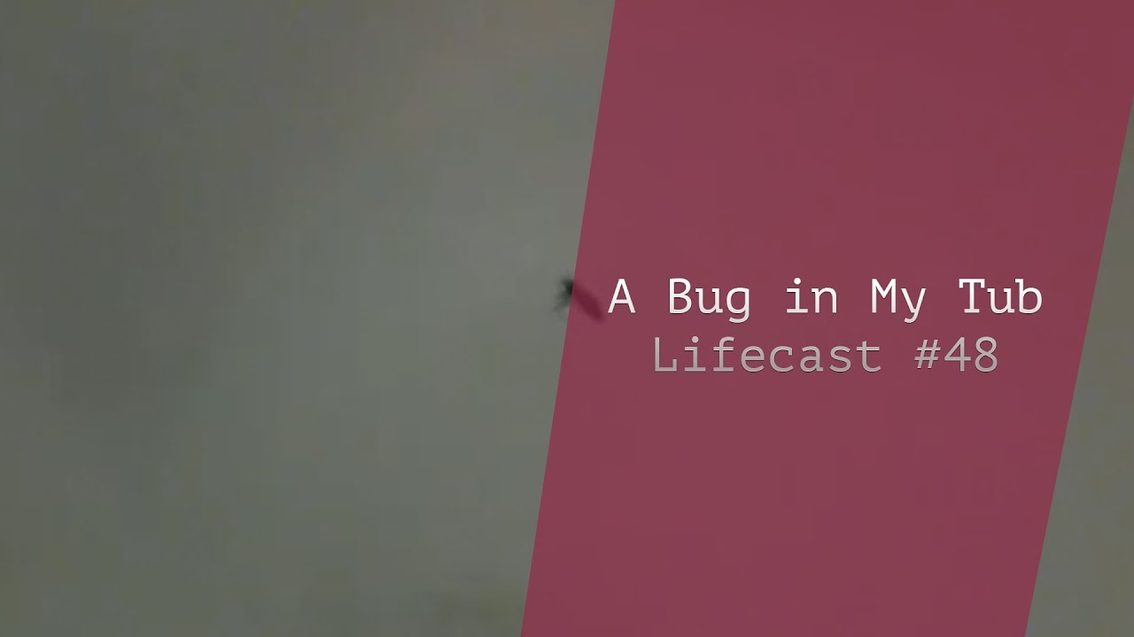 A Bug In My Tub