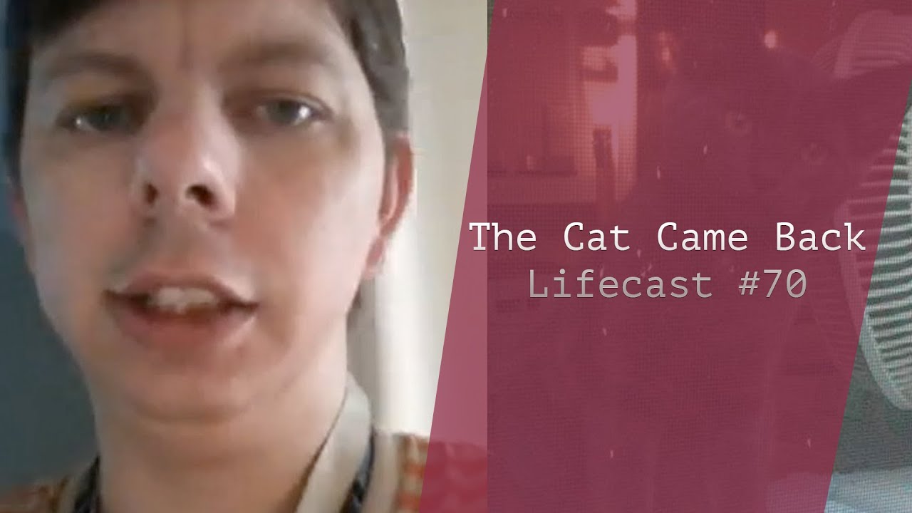 The Cat Came Back