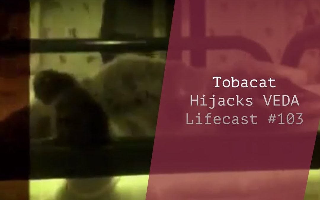 Tobacat Hijacks VEDA