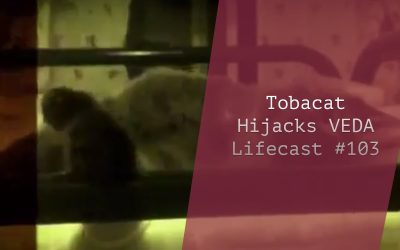 Tobacat Hijacks VEDA